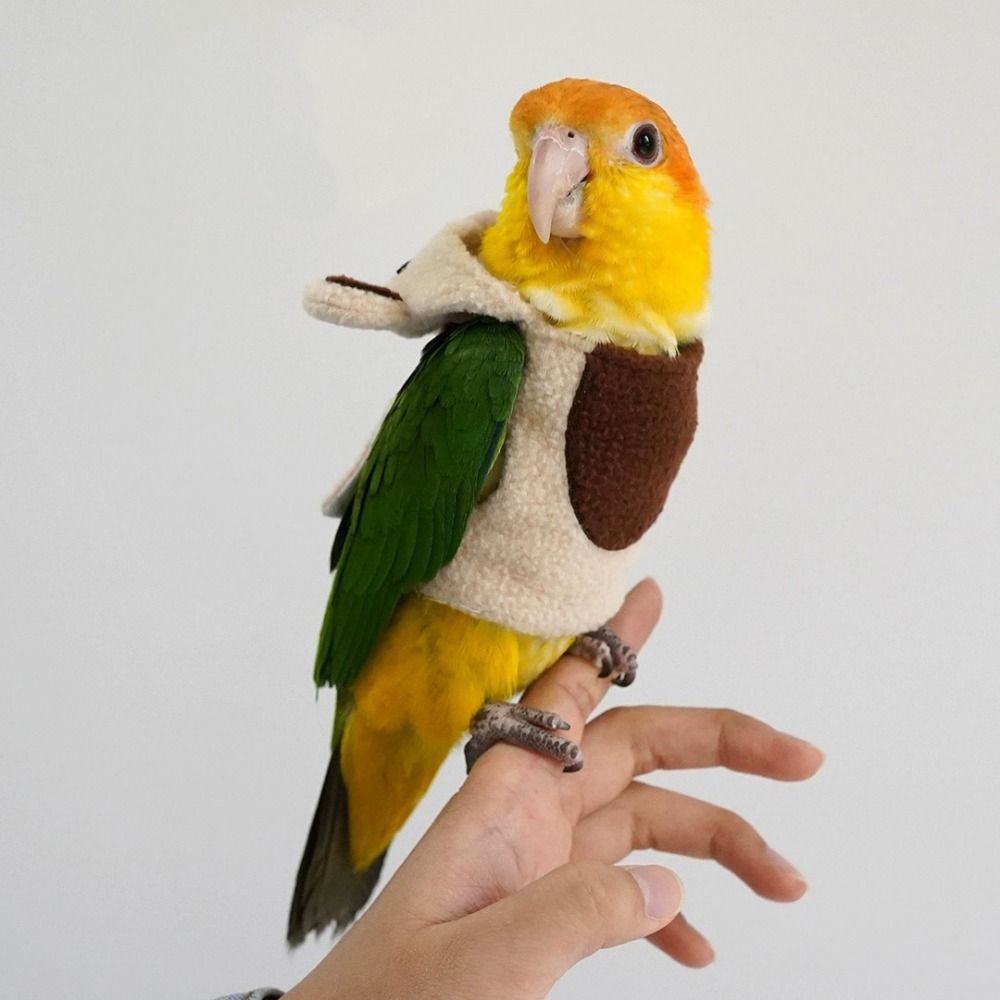 Fun Bear Shape Cute Bird Costu – обзор и цена Easy Cosplay Prop