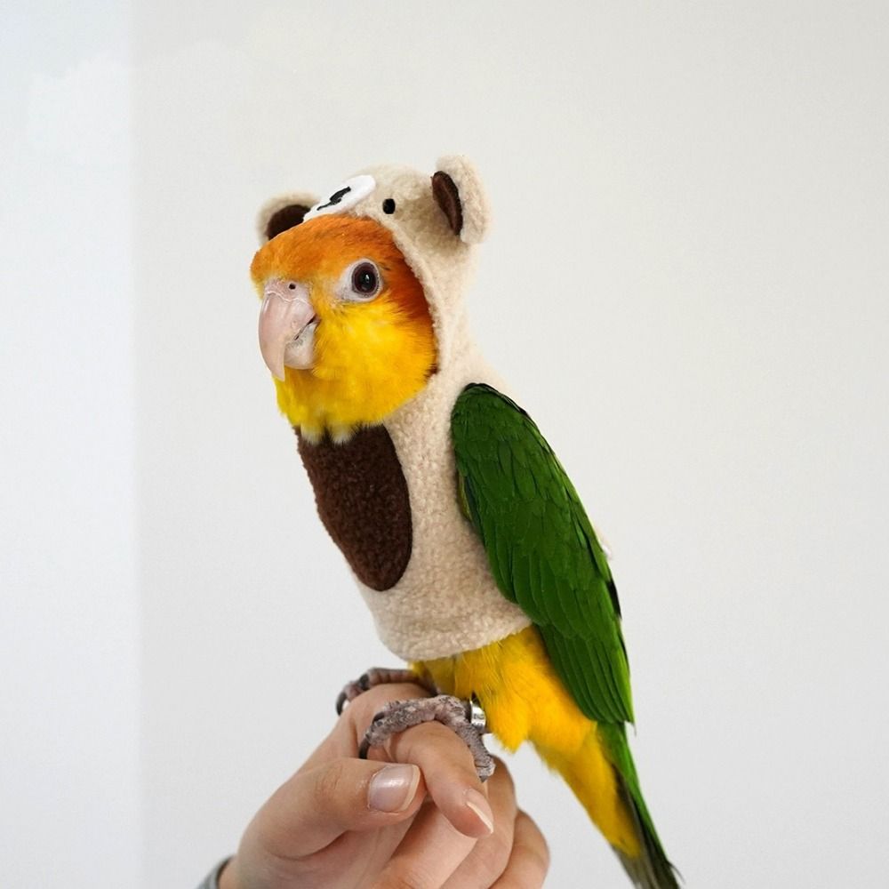 Fun Bear Shape Cute Bird Costu – обзор и цена Easy Cosplay Prop