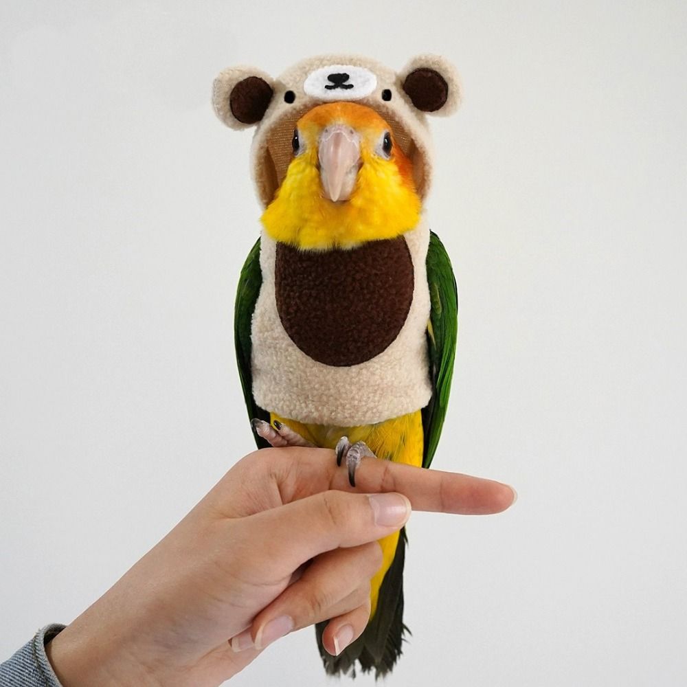 Fun Bear Shape Cute Bird Costu – обзор и цена Easy Cosplay Prop