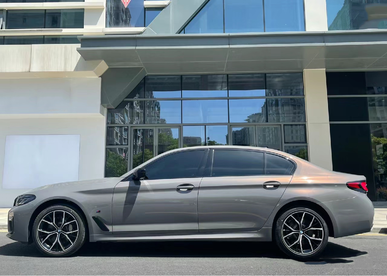 PET Backing Paint Protection S – обзор и цена Metallic Spray Paint
